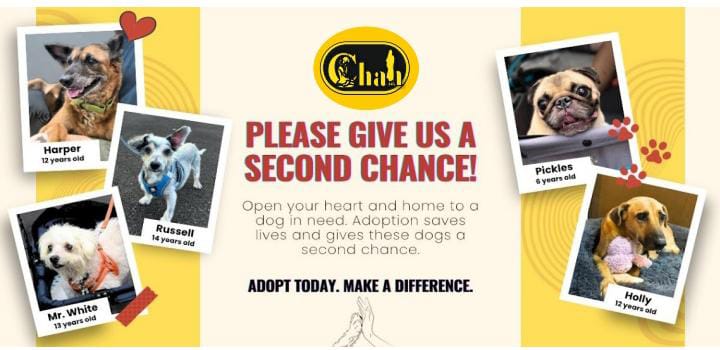 ChahFoundation