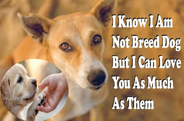 Voice for voiceless