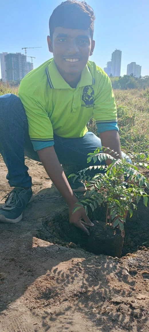 Environment Drive