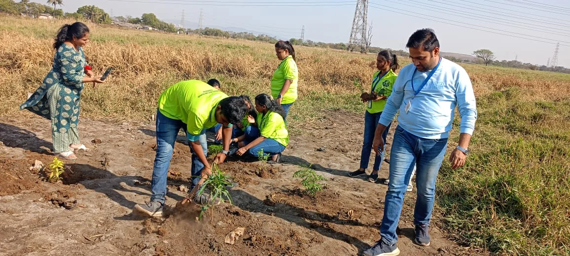 Environment Drive
